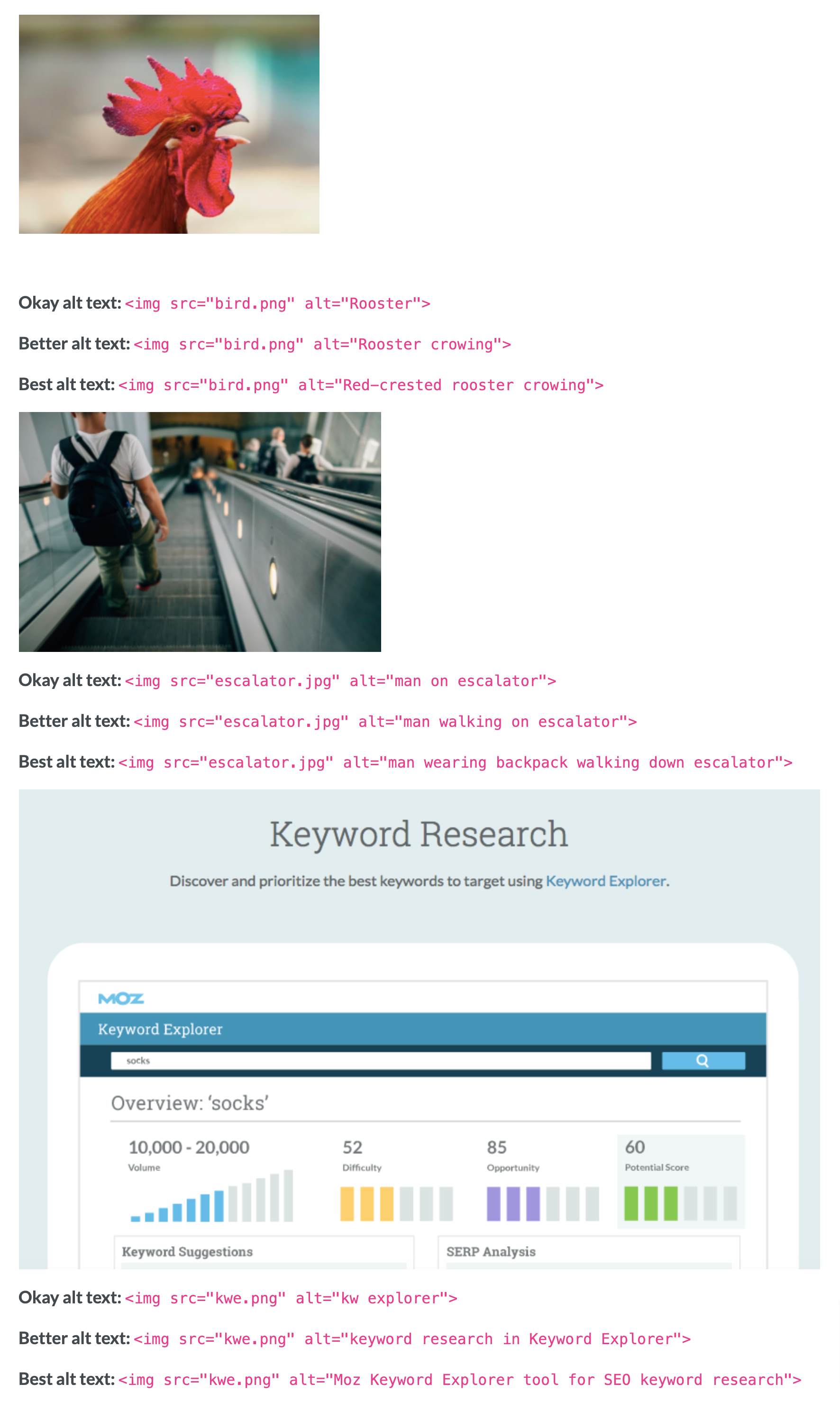 Examples of bad, good and better ALT text from Moz using three different examples, each more complex.